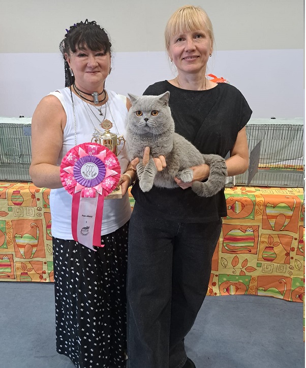 GICH. Rich Copper Zlatan