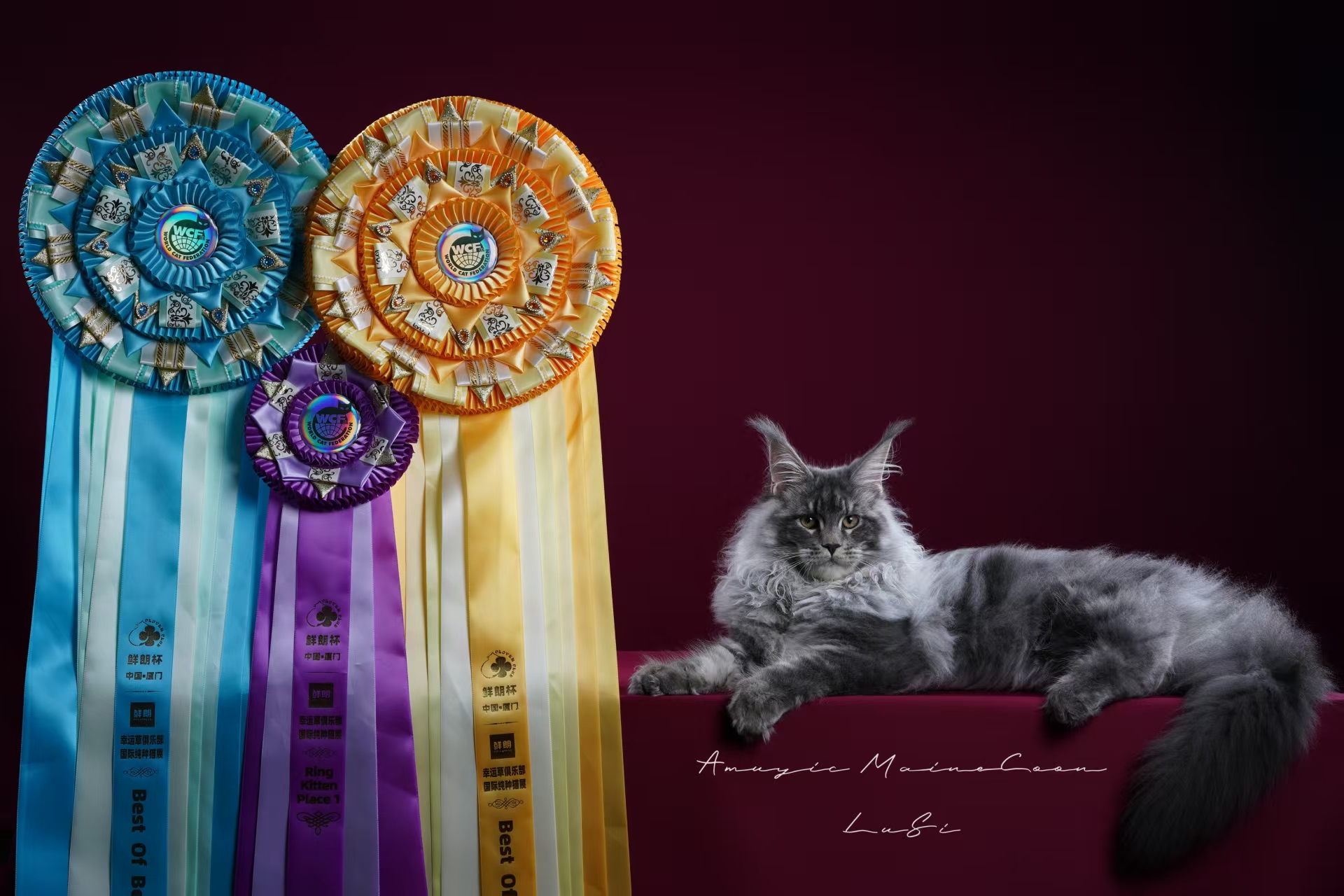 JCH. GuangJin of Amuyic